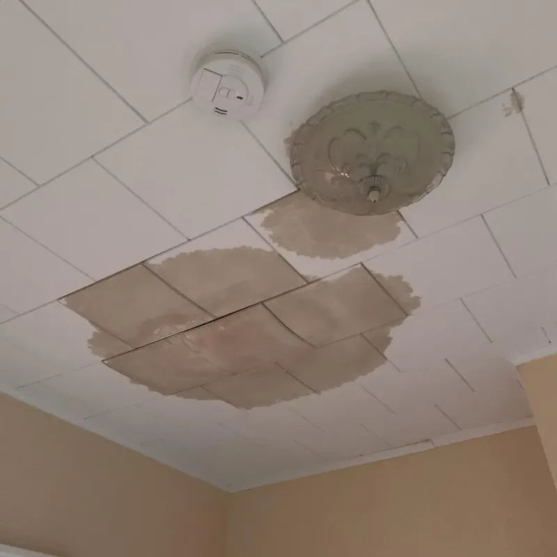 Ceiling Water Damage Repair in Armour, SD