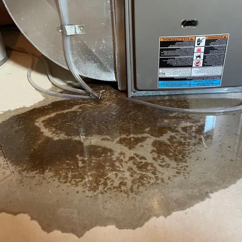 Pipe Burst and Leak Restoration in Armour, SD