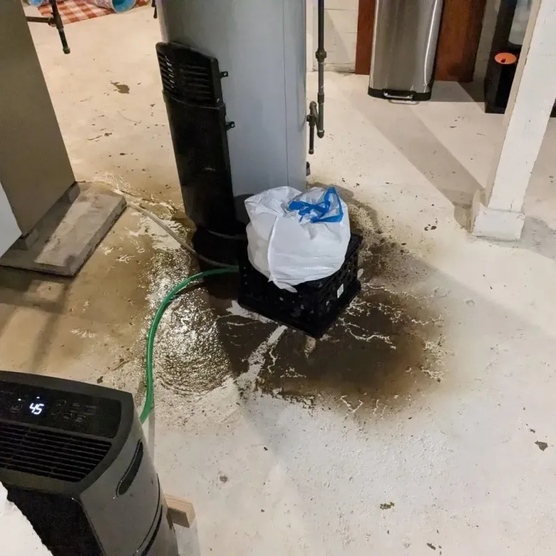 Sewage Backup Cleanup Service in Armour, SD